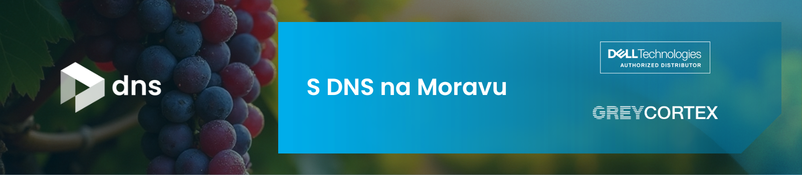 S DNS na Moravu